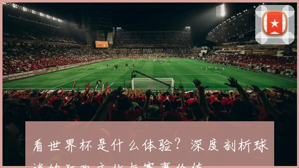 看世界杯是什么体验？深度剖析球迷的狂欢文化与赛事价值