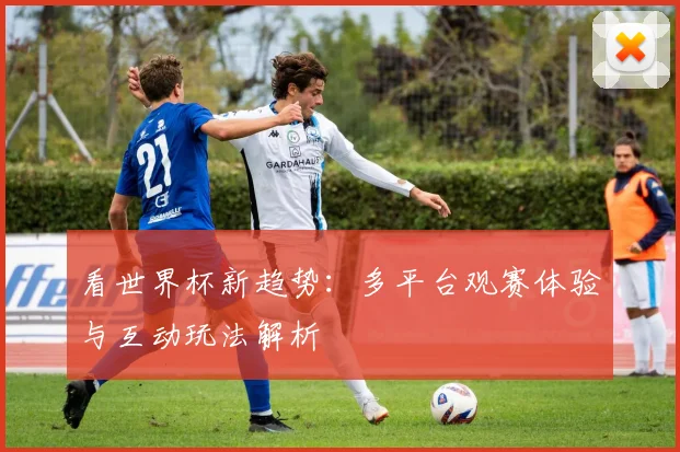 看世界杯新趋势：多平台观赛体验与互动玩法解析