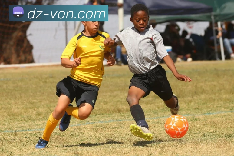 开云app官方入口网站品牌故事