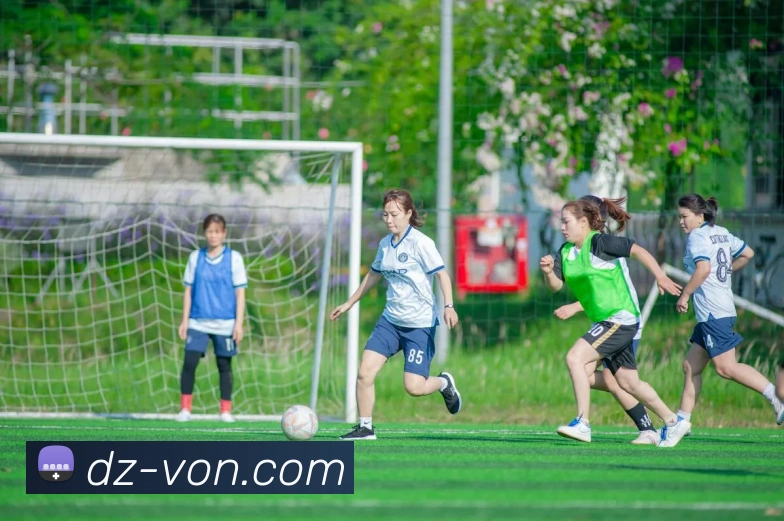 开云app官方入口网站服务体系